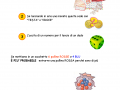 1-calcolo-delle-probabilita