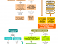 02.-LE-VARIE-FORME-DI-AIUTO-IL-BRAINSTORMING
