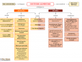 05.-DISTURBI-ALIMENTARI-ANORESSIA-BULIMIA