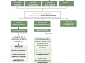 01.-GLI-APPROCCI-TERAPEUTICI