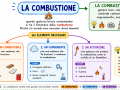 14.-LA-COMBUSTIONE