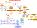 04-classificazione-delle-stelle