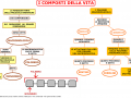 01. I COMPOSTI DELLA VITA