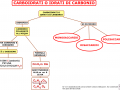02. CARBOIDRATI O IDRATI DI CARBONIO
