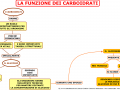 06. LA FUNZIONE DEI CARBOIDRATI