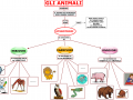 04. GLI ANIMALI - CLASSIFICAZIONE 2