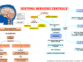 04-il-sistema-nervoso-centrale