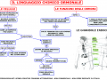 11-il-linguaggio-chimico-ormonale