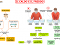 01. IL CALDO E IL FREDDO