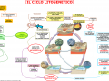 01-il-ciclo-litogenetico