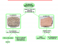 03-la-classificazione-delle-rocce-ignee-rocce-granitiche