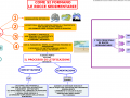 07-come-si-formano-le-rocce-sedimentarie