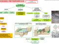 08-il-processo-metamorfico