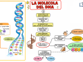 02.-LA-STRUTTURA-DNA