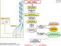 02. STRUTTURA DNA
