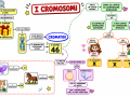 04.-CROMOSOMI