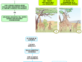 03. LA TEORIA DI J B LAMARCK