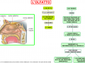 05. L OLFATTO