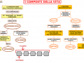 01. I COMPOSTI DELLA VITA