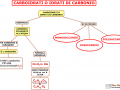 02. CARBOIDRATI O IDRATI DI CARBONIO