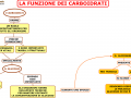 06. LA FUNZIONE DEI CARBOIDRATI