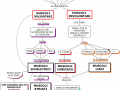 02.-I-muscoli-mappa-facilitata