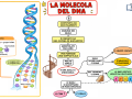 02.-LA-STRUTTURA-DNA