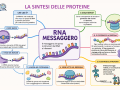 04.-RNA-SINTESI-PROTEINE