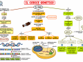 07.-CODICE-GENETICO