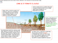come-si-e-formato-il-suolo