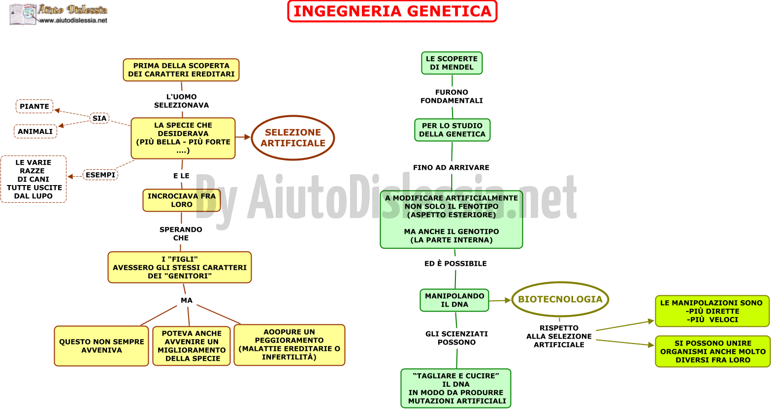 01.-INGEGNERIA-GENETICA