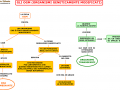 02.-GLI-OGM-Organismi-Geneticamente-Modificati