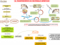 03.-IL-TRASFERIMENTO-DI-MATERIALE-GENETICO