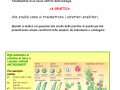 01-le-scoperte-di-mendel-1