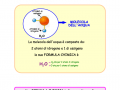 le-molecole-2