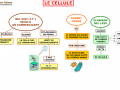 01. LE CELLULE