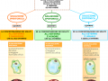 13. SOLUZIONI IPERTONICHE IPOTONICHE E ISOTONICHE
