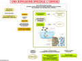 10. UNA DIFFFUSIONE SPECIALE L OSMOSI