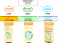 11. SOLUZIONI IPERTONICHE IPOTONICHE E ISOTONICHE