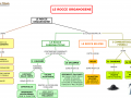 06.-LE-ROCCE-SEDIMENTARIE-ORGANOGENE
