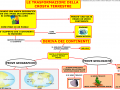 01-la-trasformazione-della-crostra-terrestre