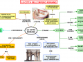 06. LE CITTA ROMANE