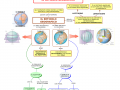 02. IL RETICOLO GEOGRAFICO