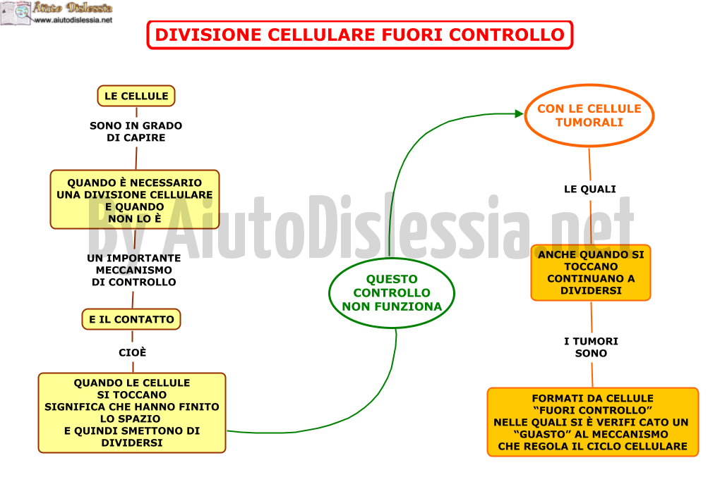 06. DIVISIONE CELLULARE FUORI CONTROLLO