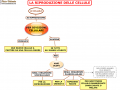 01. LA RIPRODUZIONE DELLE CELLULE