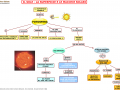 10. LA SUPERFICIE DEL SOLE E LE MACCHIE SOLARI