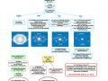 15. ORIGINE DEL SISTEMA SOLARE