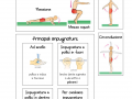 05.-IL-LINGUAGGIO-DELL-INSEGNANTE