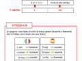 03-i-nomi-plurale