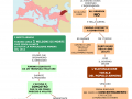 05.-IL-GENOCIDIO-DEGLI-ARMENI